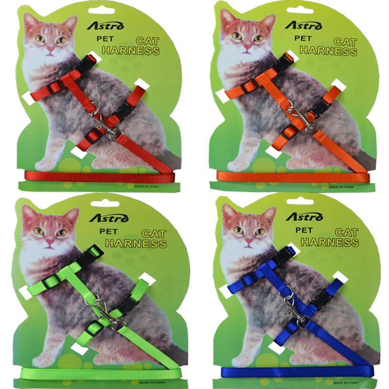 小型犬泰迪狗狗狗牵引绳狗链子