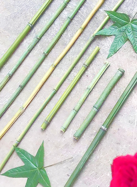 新鲜细竹子小竹条现做庭院园林阳台花艺竹棍细竹杆绿色天然小竹竿