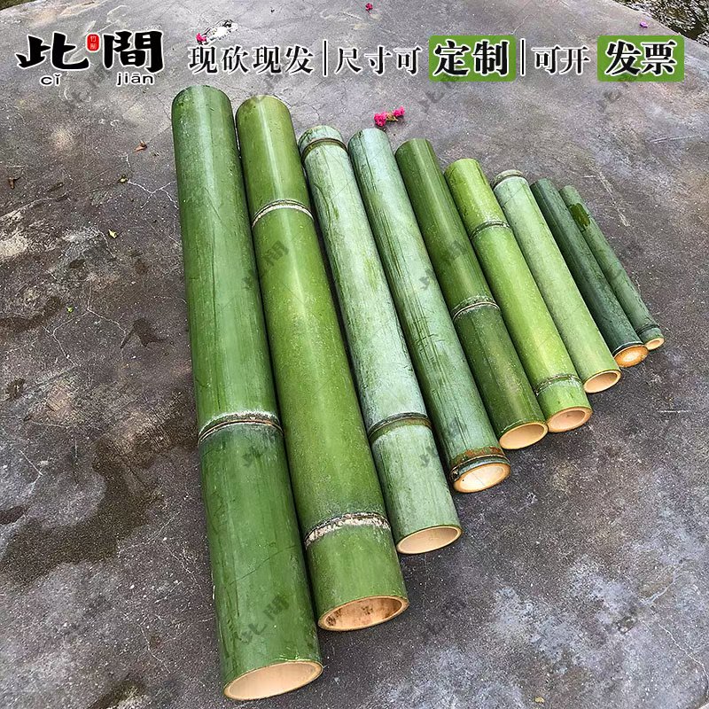 新鲜绿色竹子现砍现做