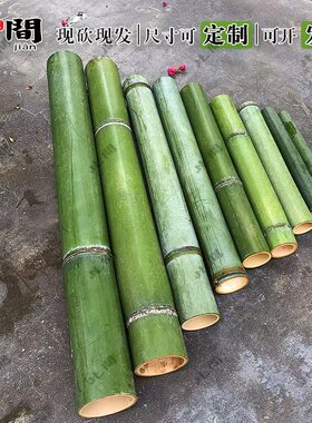 新鲜绿色竹子天然竹竿小竹子婚庆桌面摆件竹筒花艺装饰大小短竹段