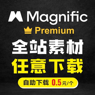 Magnific 矢量插图 设计素材 PSD模板资源代下载 自助解析下载