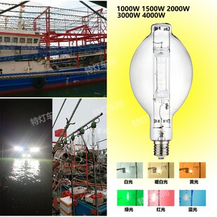 大功率捕鱼灯泡空中灯水下灯防水诱鱼灯集鱼灯鱿鱼灯1000W2000W