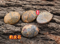 Леопардовый кожаный камень 18*25 мм/кусок