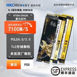 DV630雷鸟固态硬盘 1TH7000 HKCMEMORY惠科M.2固态硬盘512G 256G