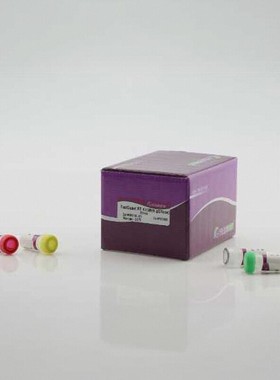 FastKing cDNA 第一链合成试剂盒 (去基因组 )(KR116) 提取试剂盒