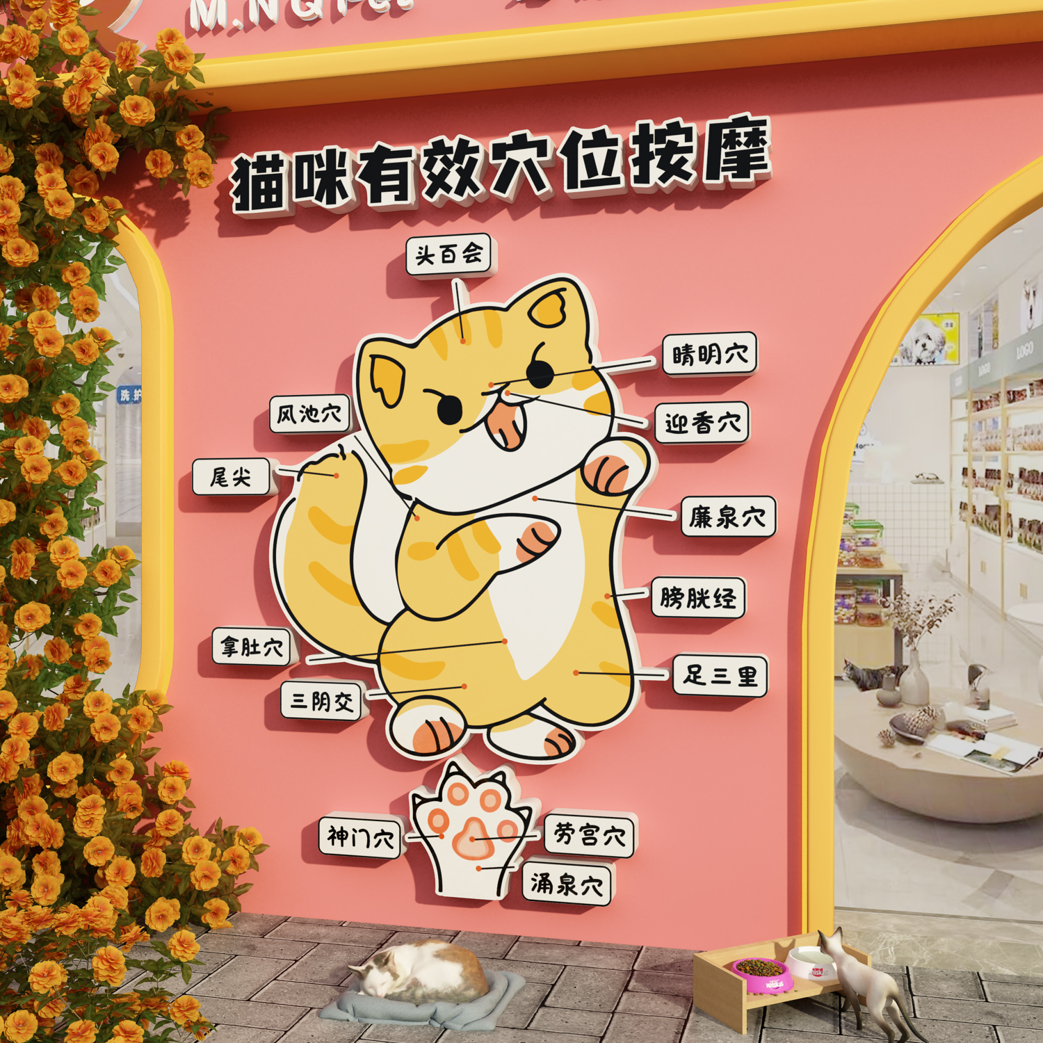网红打卡撸猫咪说明书馆咖贴纸形象部位墙面宠物店装饰图氛围布置