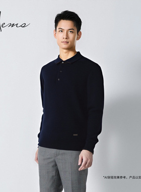 海尔曼斯25早秋新品商务休闲精英衣橱Polo领羊毛针织衫23738B41