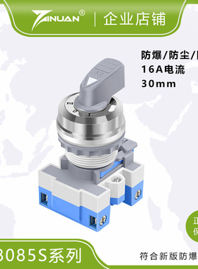 30mm开孔防爆旋钮JS8085S-B防尘防腐万能转换开关16A二档三档
