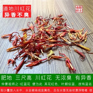南阳经方 道地川红花 异香不臭 水泡金黄无油状 肥地川红花中药材