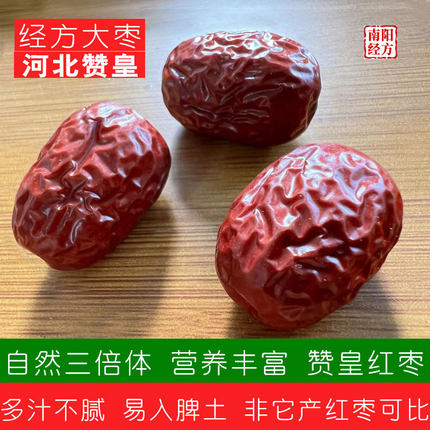 南阳经方 道地河北赞皇红枣 非其它省份可比 汁多肉厚 不腻 大枣