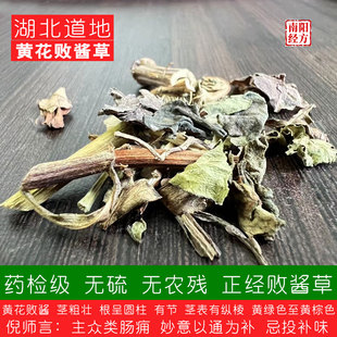 南阳经方 道地败将草中药材 药检级 无硫熏高含量 野生黄花败酱草