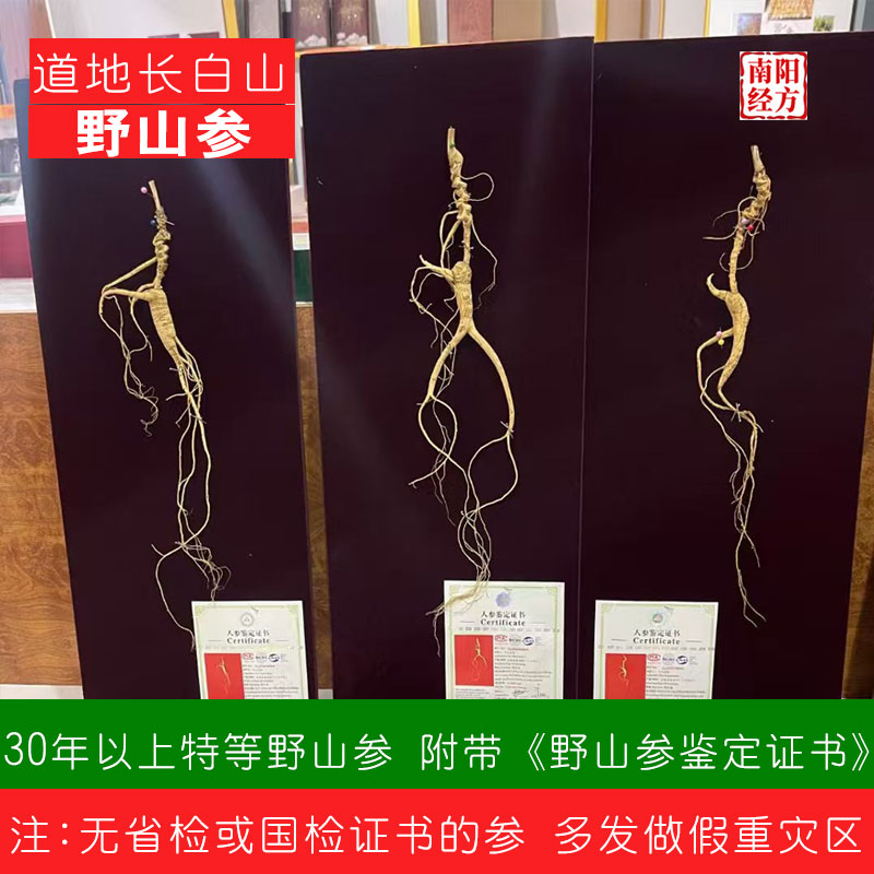 南阳经方 道地省检一等15年野山参 国检特等30年长白山野生林下参