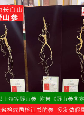南阳经方 道地省检一等15年野山参 国检特等30年长白山野生林下参