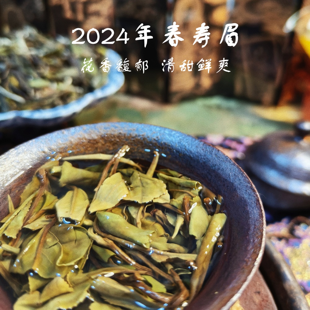 核心产区管阳镇白茶春寿眉