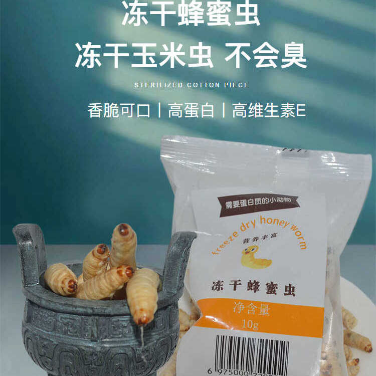 冻干玉米虫干净不臭常温18个月