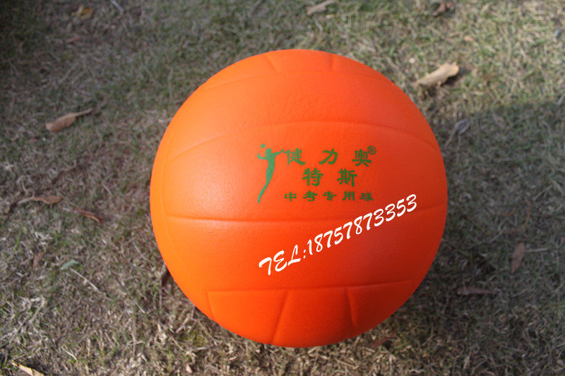 Ballon de volley-ball - Ref 2012584 Image 1