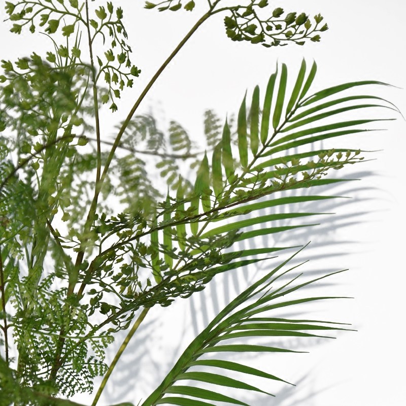 北欧绿植仿真植物大型落地盆栽热带雨林观叶植物棕榈叶摄影道具