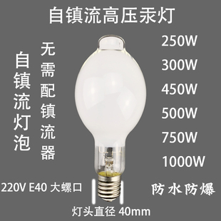 自整流高压汞灯船用灯泡户外照明大功率E40抓虫诱虫防水防爆螺口