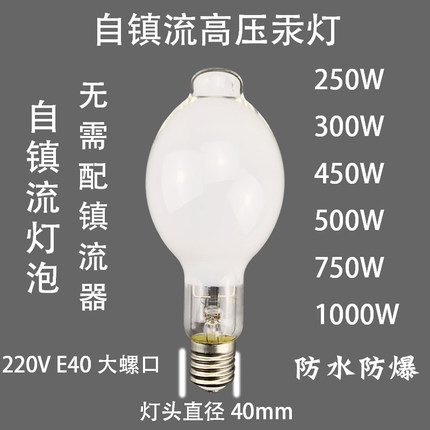 自整流高压汞灯船用灯泡户外照明大功率E40抓虫诱虫防水防爆螺口