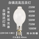 自整流高压汞灯船用灯泡户外照明大功率E40抓虫诱虫防水防爆螺口