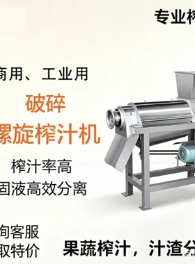 大型苹果凤梨螺旋榨汁机工业水果蔬菜榨汁机 桃子桑葚树莓打浆机