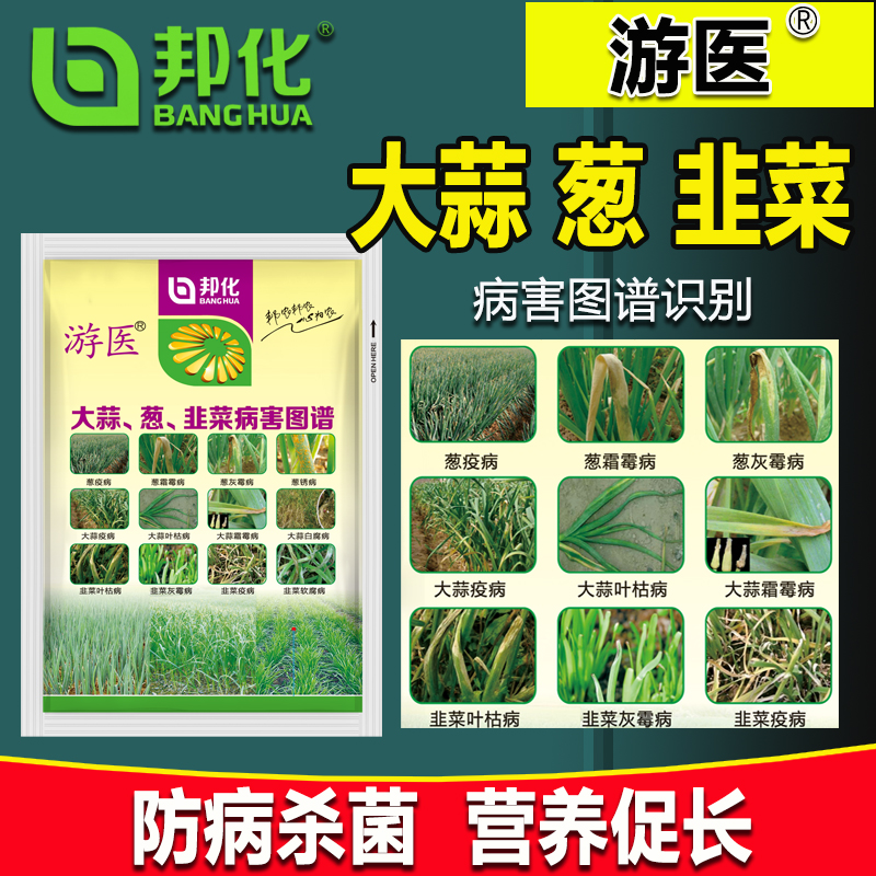 大蒜韭菜干尖治病增产农药杀菌剂