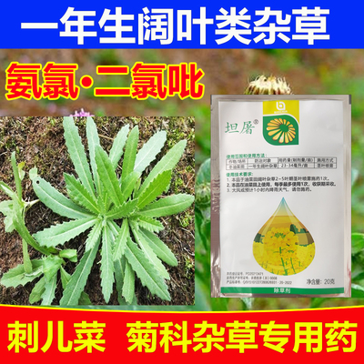 农药除草剂氨氯二氯吡专杀阔叶杂草刺儿菜菊科杂草蒿子草坪除杂草