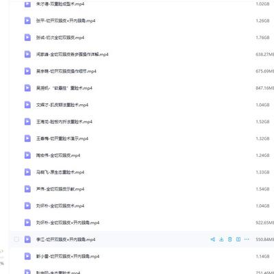 精选全切双眼皮切开重睑术网盘