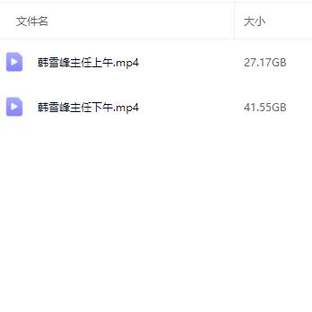 八大处韩雪峰微整形研修班网盘
