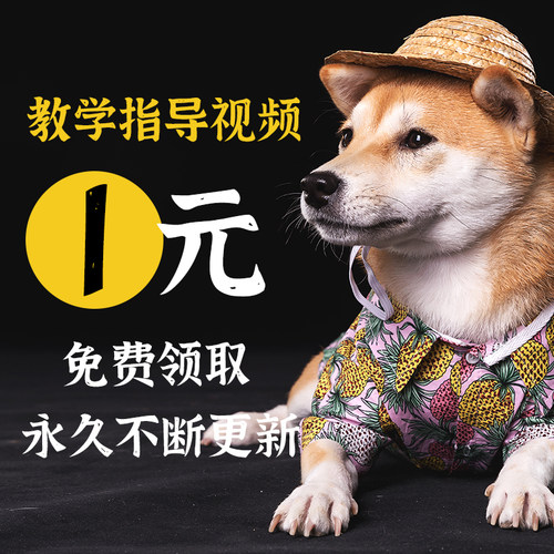 持续更新简单易懂拍下即发