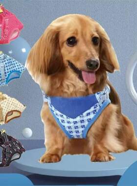 狗狗绑带背心小型犬胸背带衣