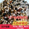 Pebble Stone natural Multicolored Flower pot decorate Potted plant fish tank Landscaping colour Shizi 5