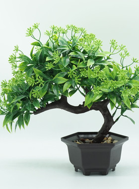 盆景新款植物桌面家居装饰仿真花