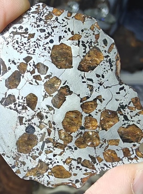 阿尔及利亚哈西橄榄陨石切片