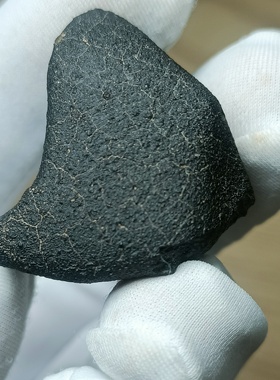 CM2碳质球粒定向陨石带熔壳原石