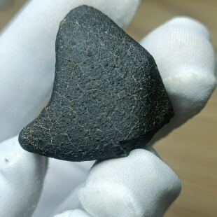 阿尔及利亚 EL Atchane 020碳质球粒陨石CM2定向坠落新鲜熔壳标本