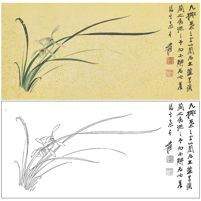 张大千横幅工笔花鸟白描底稿《兰花》临摹勾线高清打印稿QD25