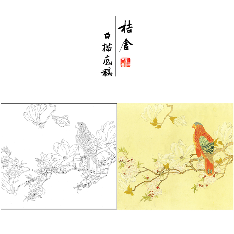 陈之佛工笔画白描底稿《玉兰鹦鹉》临摹勾线高清打印稿YL06