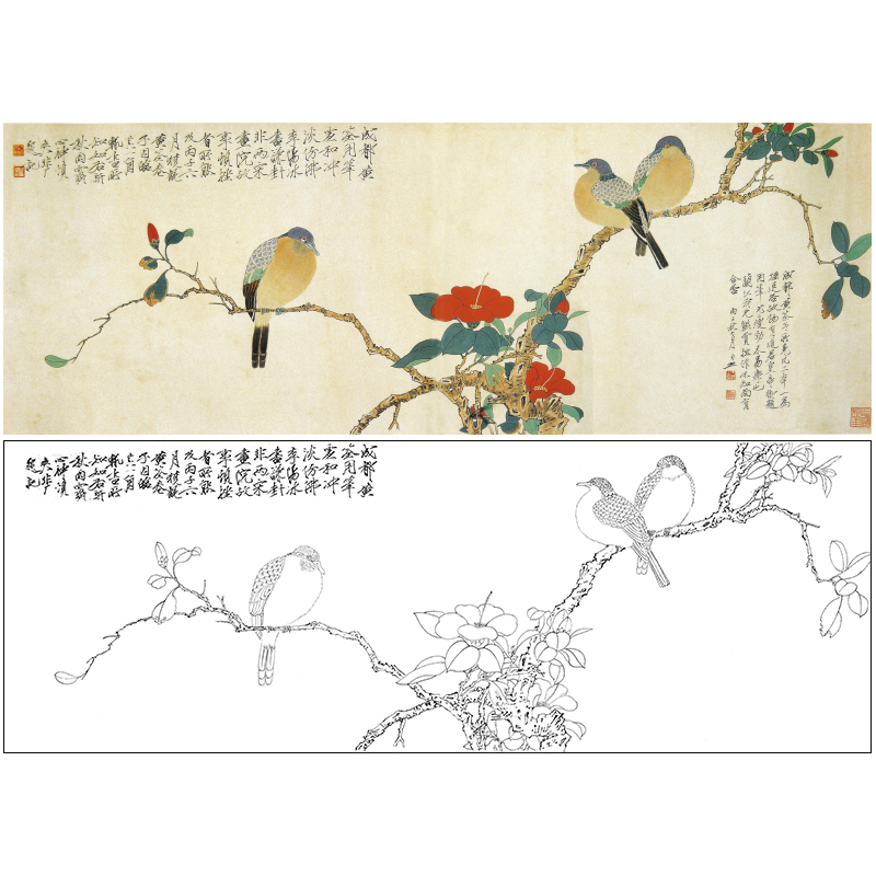 于非闇横幅工笔花鸟白描底稿《茶花斑鸠》临摹勾线高清打印稿YF20