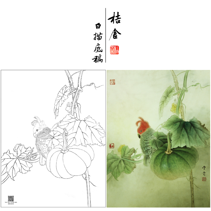 【大彩图】龚雪青工笔画白描底稿小品《南瓜鹦鹉》花鸟线稿XQ65