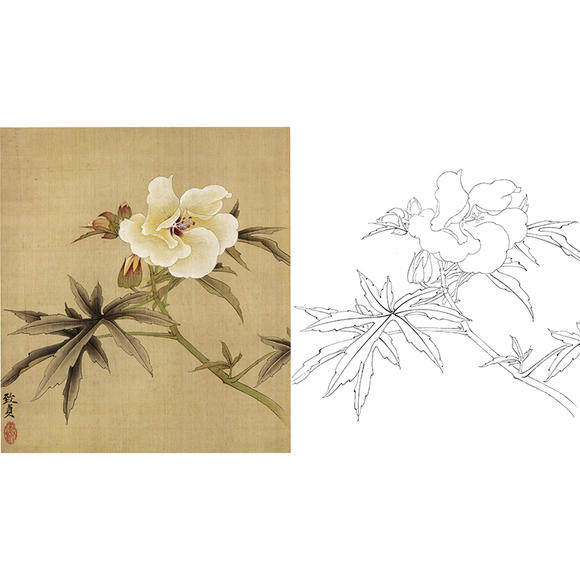 工笔画白描底稿花卉实物勾线打印稿俞致贞秋葵尺寸可选-jv22