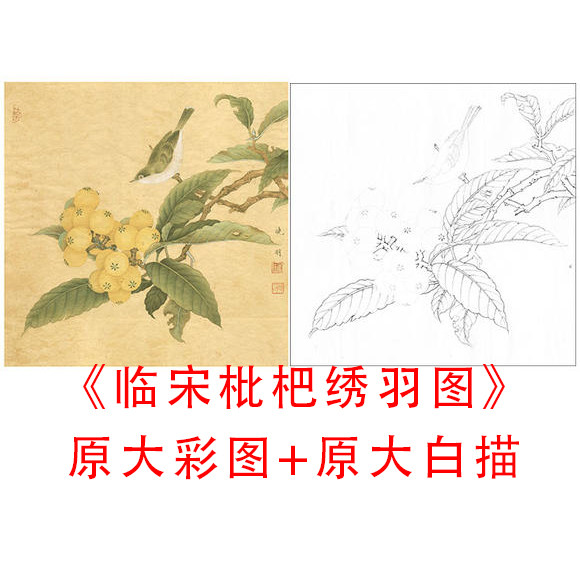 工笔画白描底稿宋画小品李晓明枇杷绣羽图线描临摹实物打印稿874c
