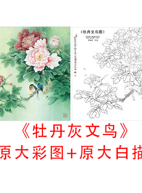 工笔花鸟斗方白描底稿李晓明-牡丹灰文鸟-线描临摹实物打印稿838C