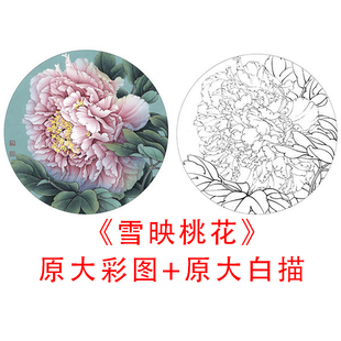 工笔画白描底稿牡丹小品李晓明圆扇雪映桃花线描实物打印稿854C