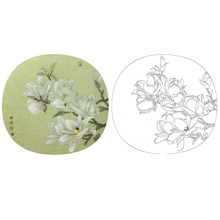 工笔画白描底稿打印稿玉兰小品