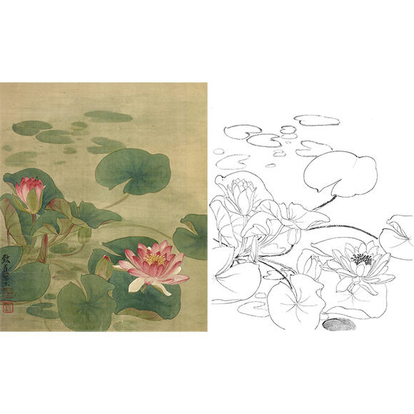 工笔画白描底稿花卉实物勾线打印稿俞致贞睡莲尺寸可选-JV24