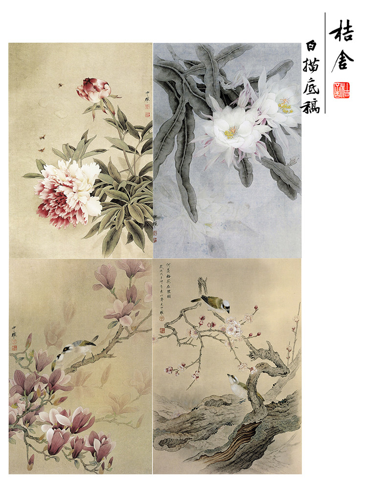 【无步骤】工笔画白描底稿周中耀花鸟一套四幅尺寸43*65厘米-05zy