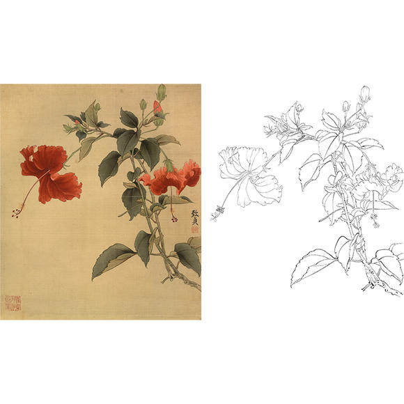 工笔画白描底稿花卉俞致贞扶桑实物白纸打印稿尺寸可选-jv19
