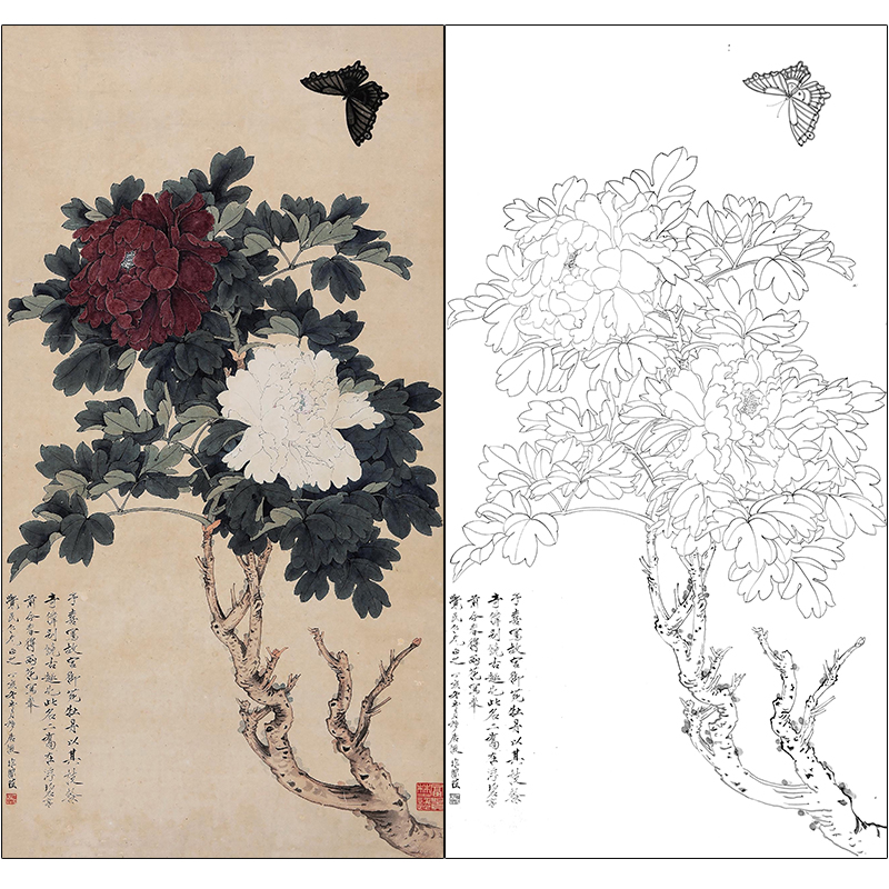 于非闇花鸟工笔画白描底稿《御苑二乔》牡丹临摹高清打印稿HS13