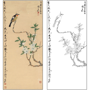 谢稚柳花鸟工笔画白描底稿《碧桃春禽》临摹勾线高清打印稿XZ13